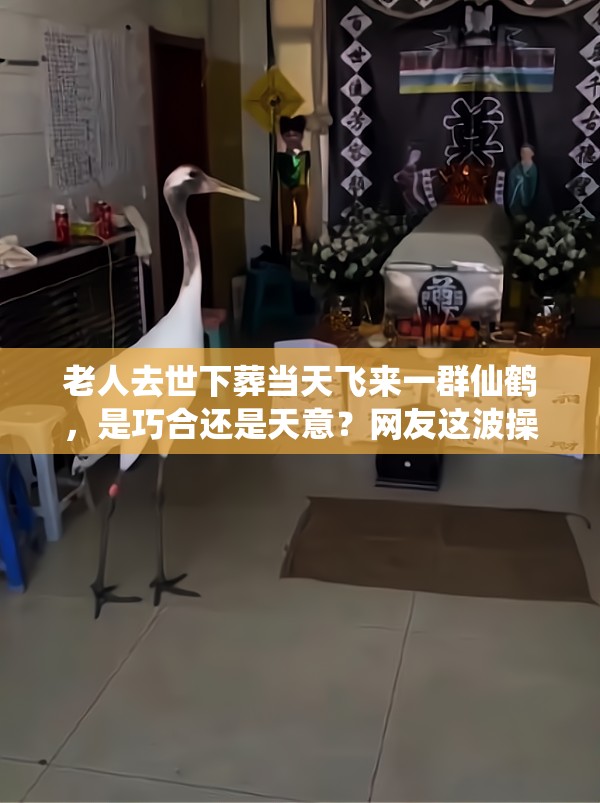 商业解决方案 第2页