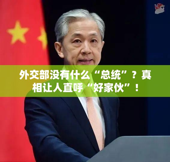 外交部没有什么“总统”？真相让人直呼“好家伙”！