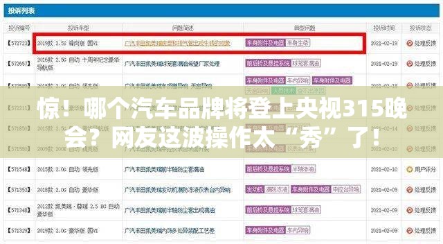惊！哪个汽车品牌将登上央视315晚会？网友这波操作太“秀”了！
