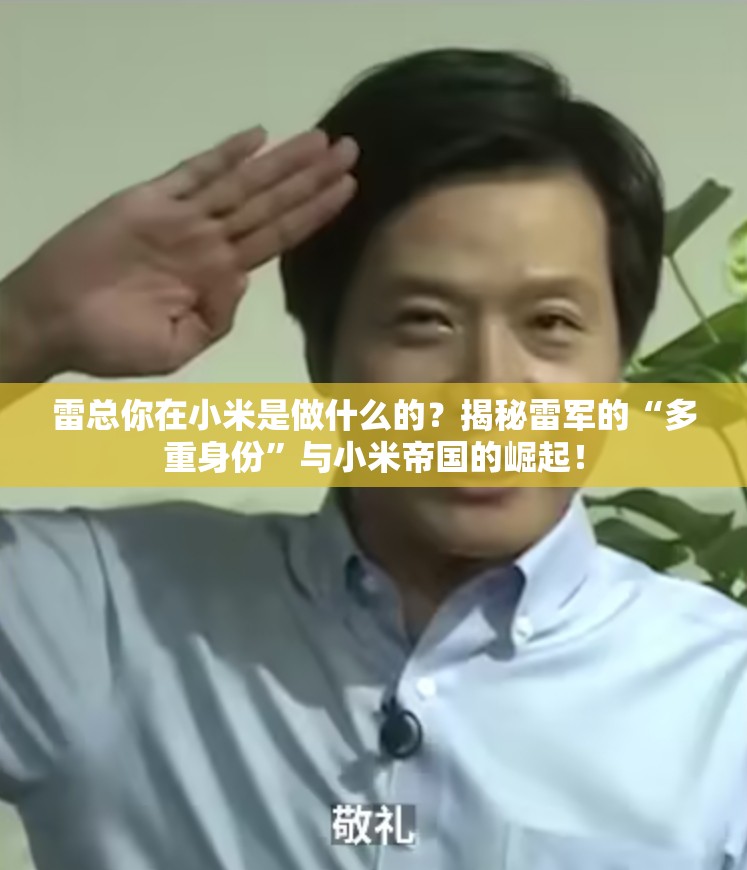 雷总你在小米是做什么的