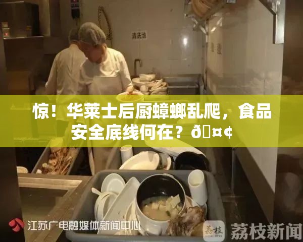 惊！华莱士后厨蟑螂乱爬，食品安全底线何在？🤢