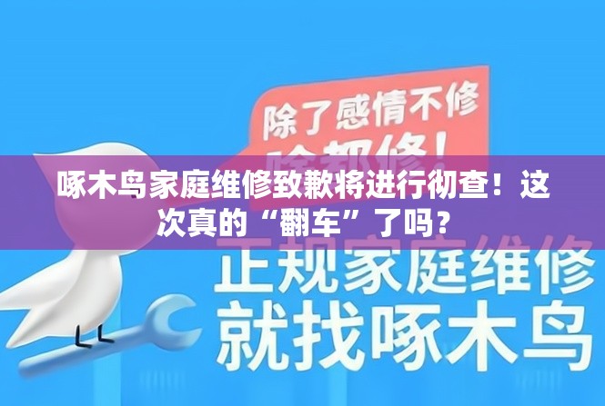 啄木鸟家庭维修致歉将进行彻查！这次真的“翻车”了吗？