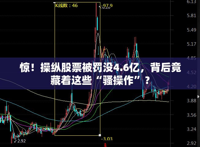 2025年3月 第24页