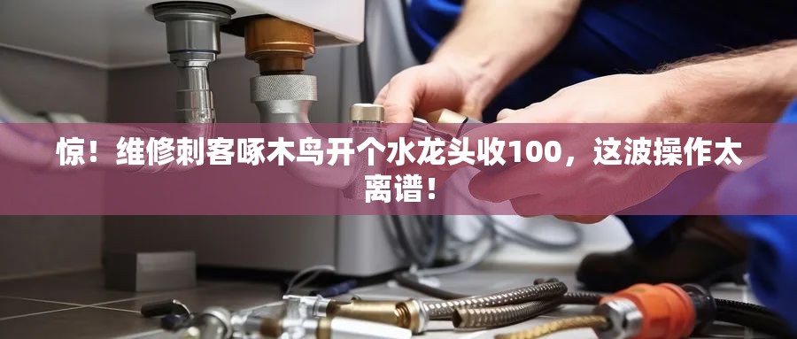 维修刺客啄木鸟 开个水龙头收100